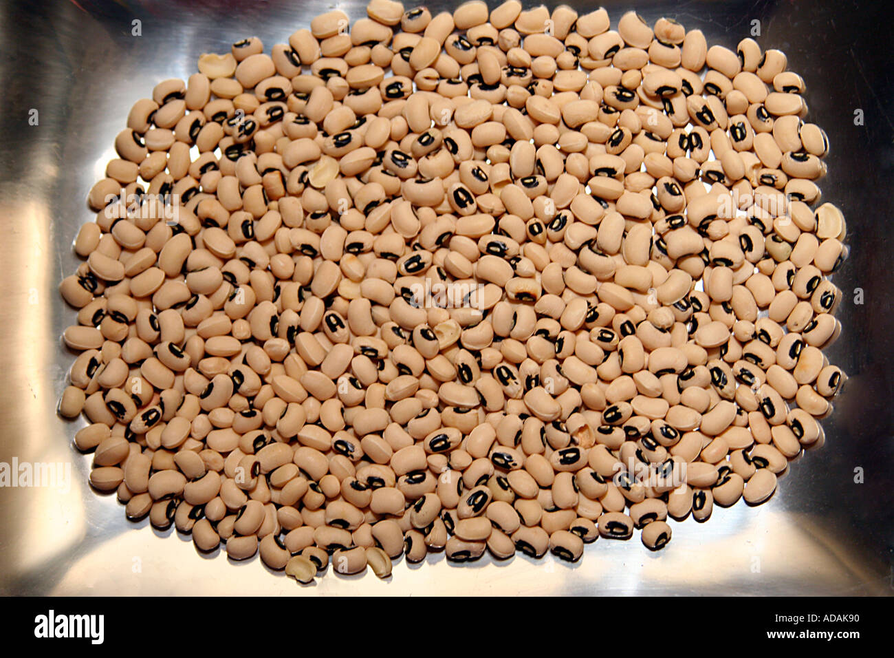 Séché alimentaire Black Eyed Peas sur bac acier inoxydable Banque D'Images