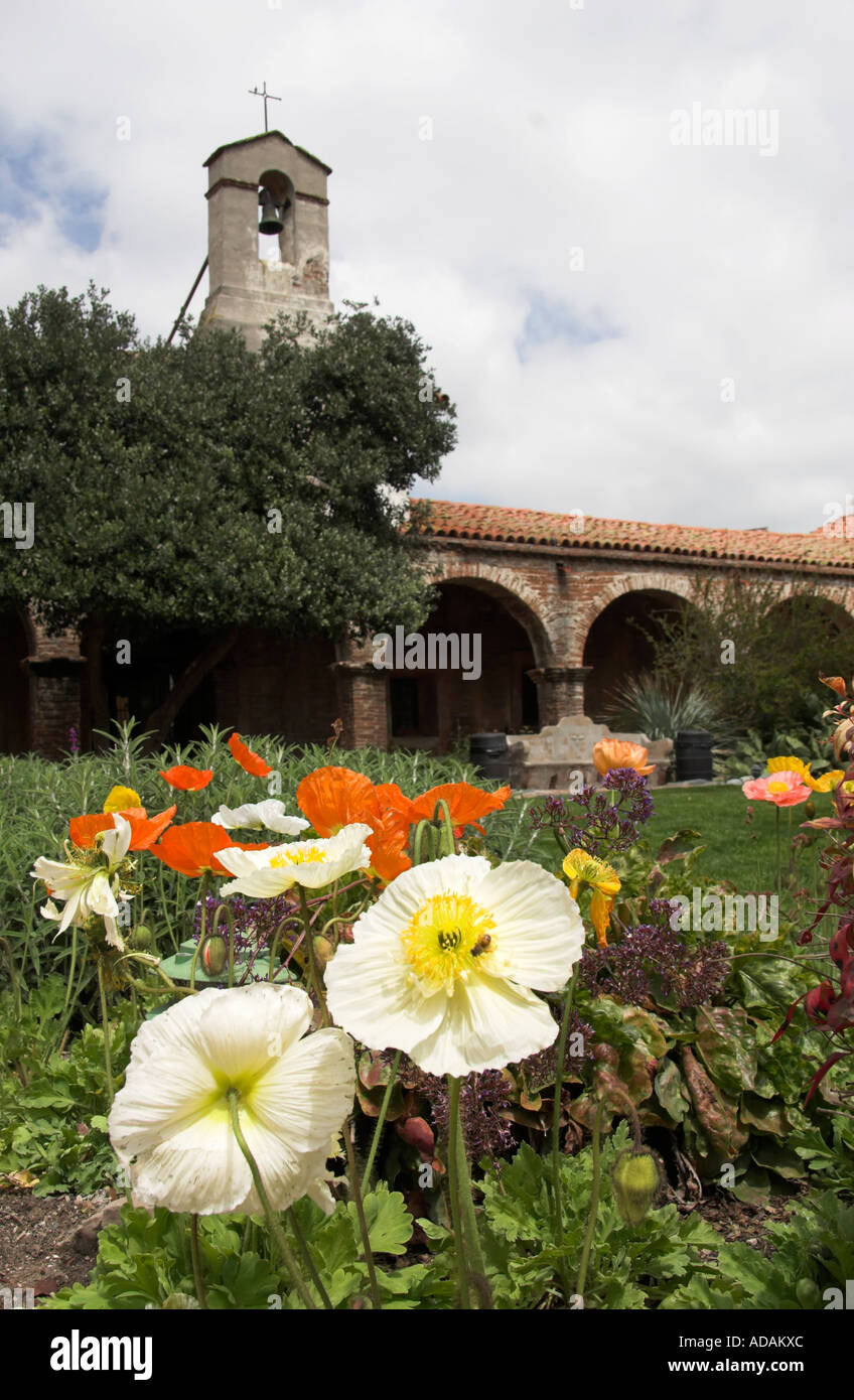 Fleurs coquelicots sur la cour centrale, Mission Basilica San Juan Capistrano, California, USA Banque D'Images
