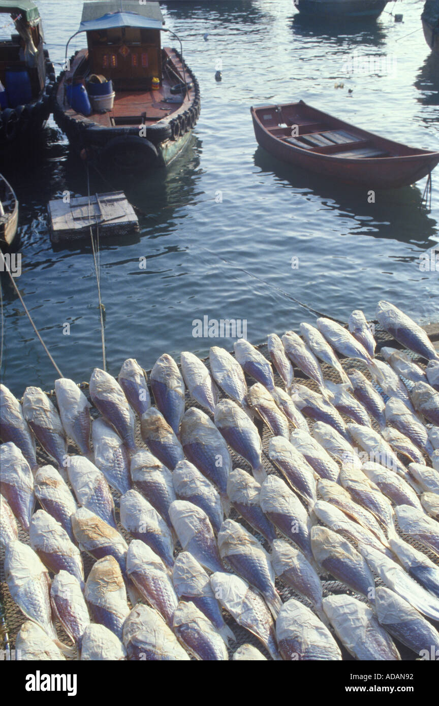 Le séchage du poisson séché par Harbour Village de pêcheurs de Sai Kung Hong Kong Banque D'Images