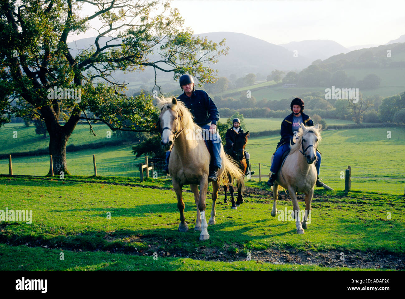 Poney équitation à Penlone avec Elan Valley derrière la ferme. Près de Tulle, au centre du pays de Galles, Royaume-Uni Banque D'Images