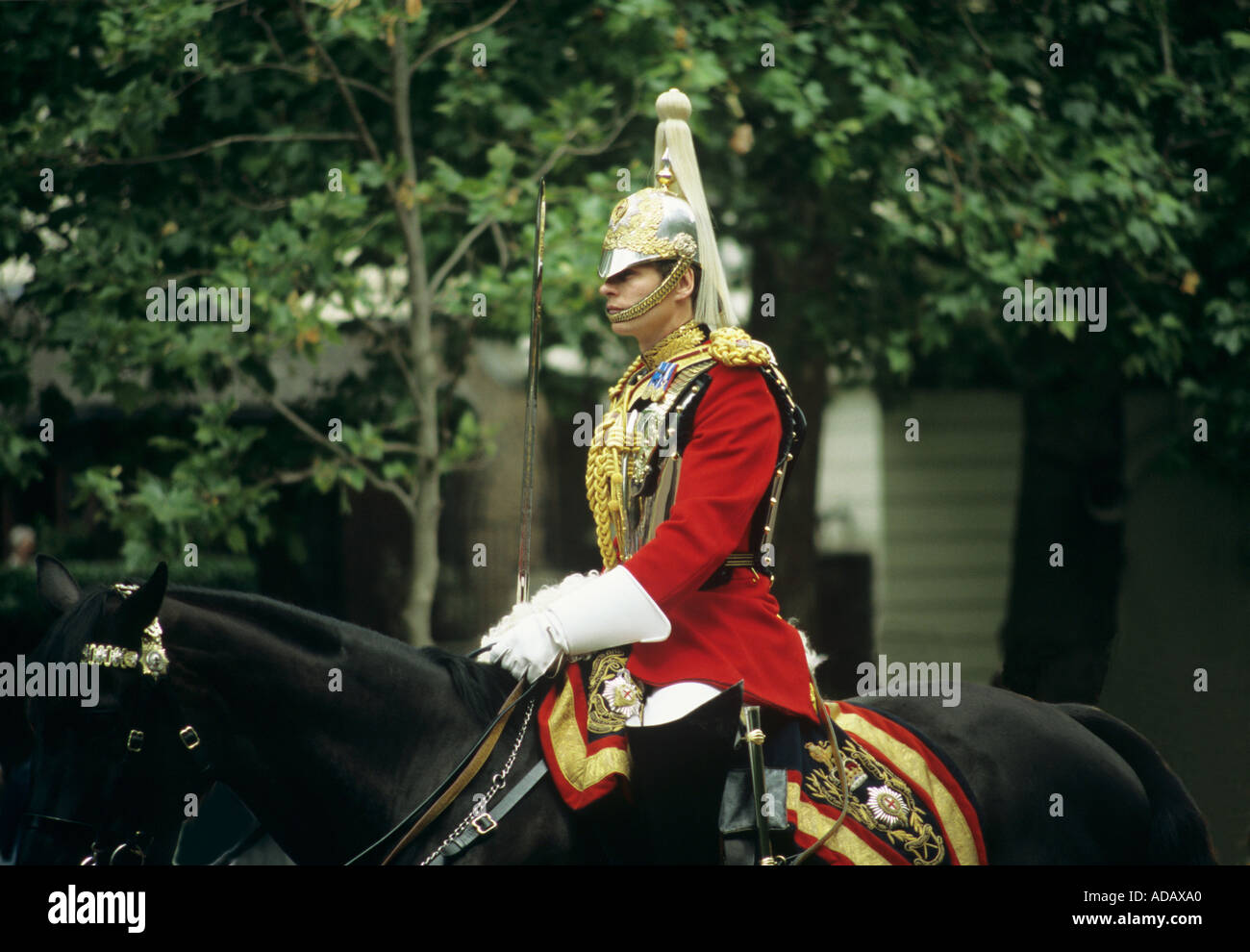 Membre de la Household Cavalry Londres Angleterre Royaume-Uni Banque D'Images