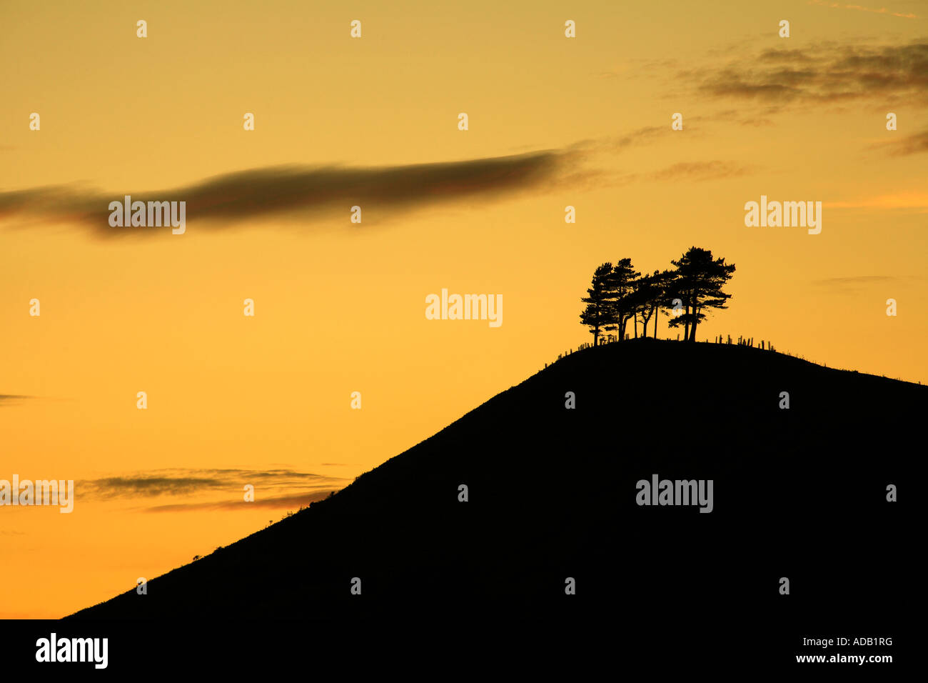 Colmers Hill Bridport Dorset UK Banque D'Images