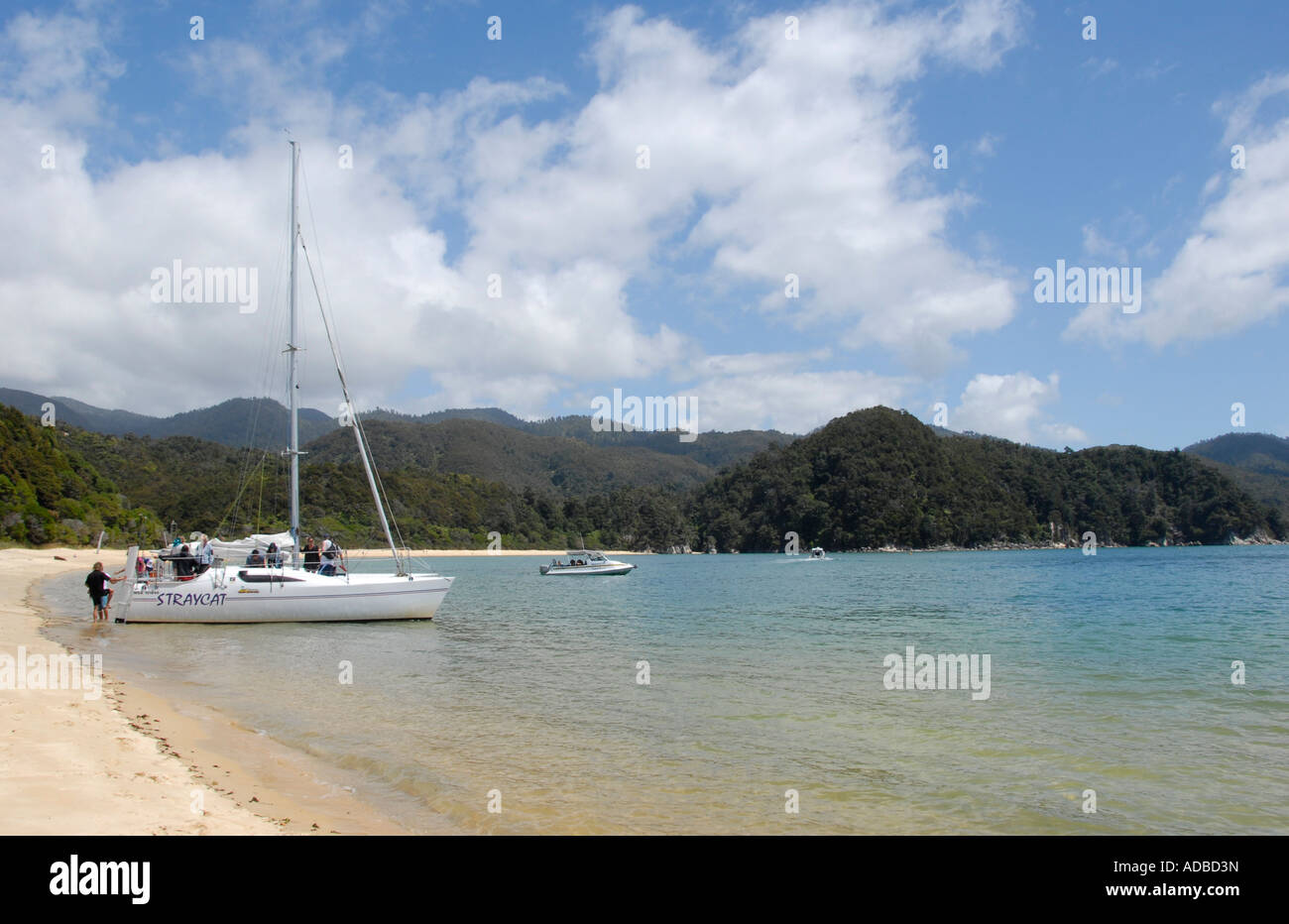 Anchorage Beach Parc national Abel Tasman ile sud Nouvelle Zelande Banque D'Images