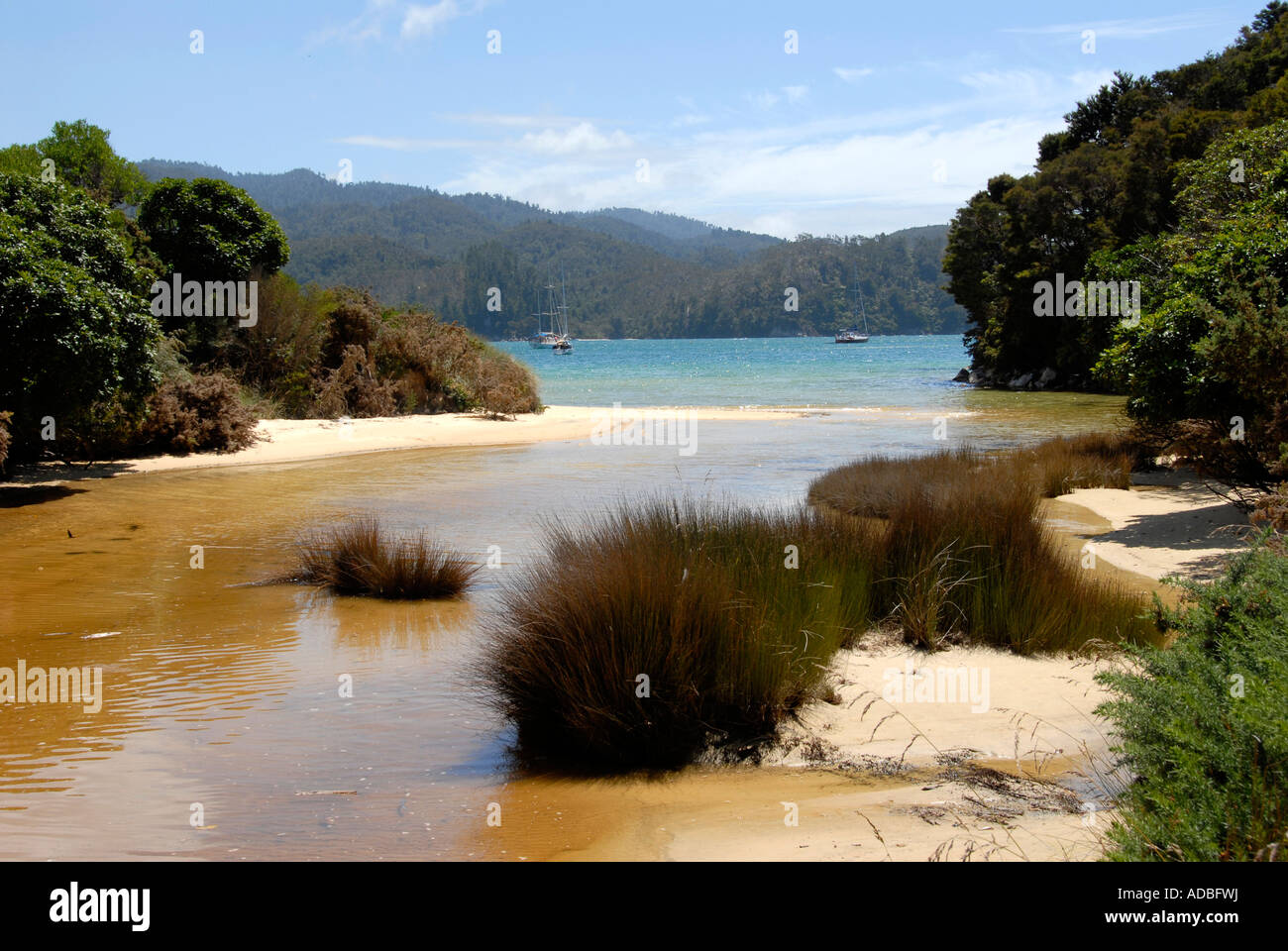 Mouillage de la rivière Torrent Parc national Abel Tasman ile sud Nouvelle Zelande Banque D'Images Mouillage de la rivière Torrent Parc national Abel Tasman ile sud Nouvelle Zelande Banque D'Images