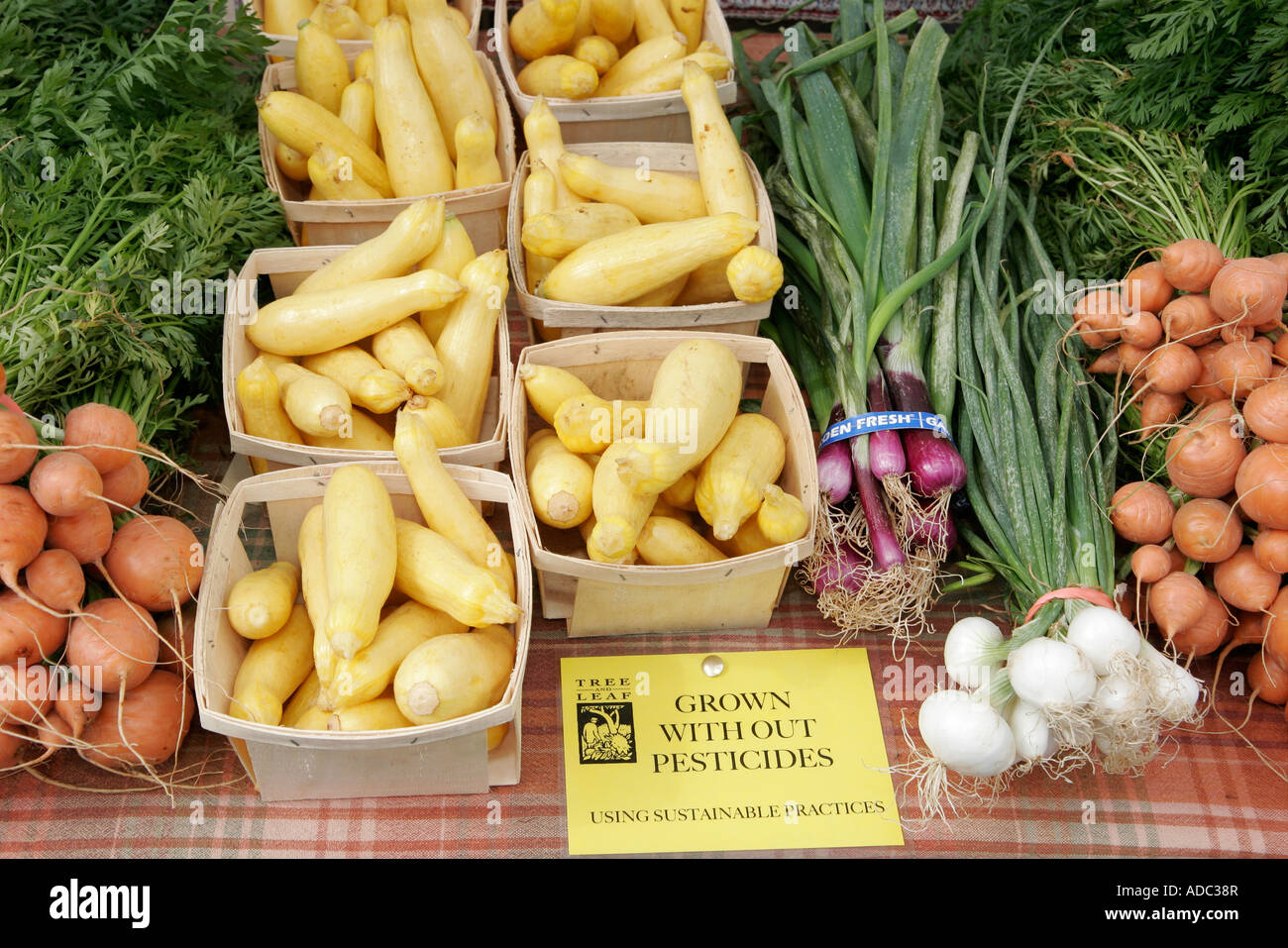 Virginia Loudoun County,Purcellville,marché agricole,production locale,légumes,légumes,sans pesticides,courge,VA070621087 Banque D'Images