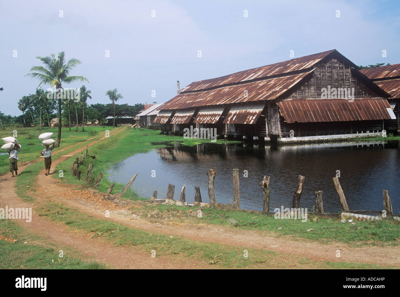 Hangars de stockage du riz dans le delta de l'Irrawaddy du Myanmar 1996 Banque D'Images