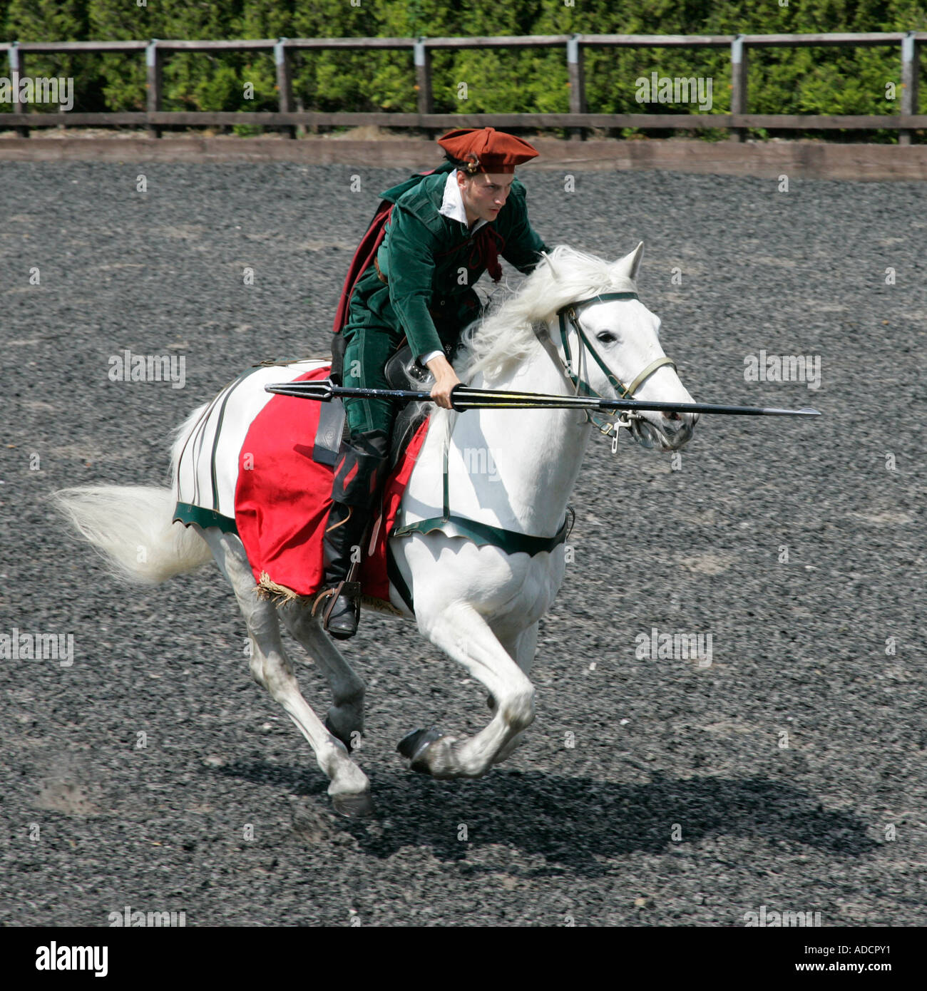 Chevalier médiéval galoper son cheval Cavalier Cavalier Cavalier Cavalier action chevaleresque équestres errantly pike lance chevaleresque Banque D'Images