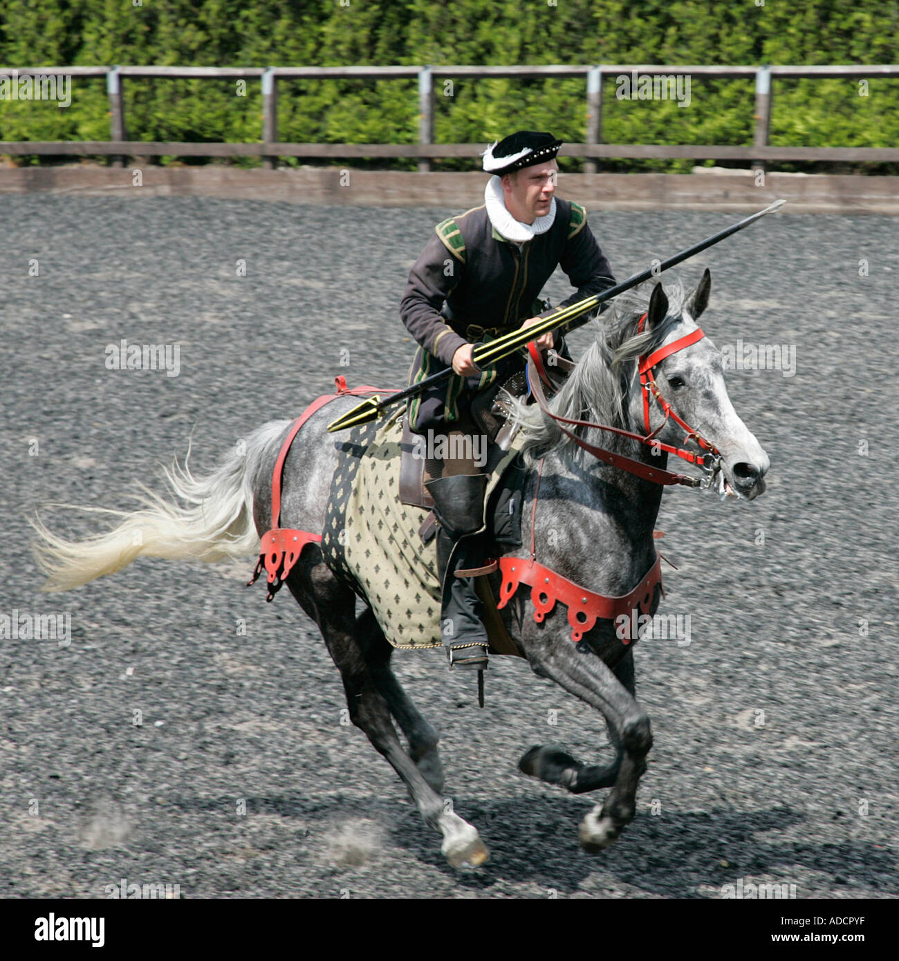 Chevalier médiéval galoper son cheval Cavalier Cavalier Cavalier Cavalier action chevaleresque équestres errantly pike lance chevaleresque Banque D'Images