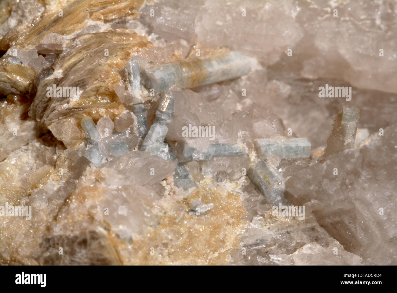 Minéral Fluorapatite, prismes bleu pâle dans gilbertite Gunheath pegmatite, fosse, Bugle, Hensbarrow Moor, Cornwall, Angleterre Banque D'Images