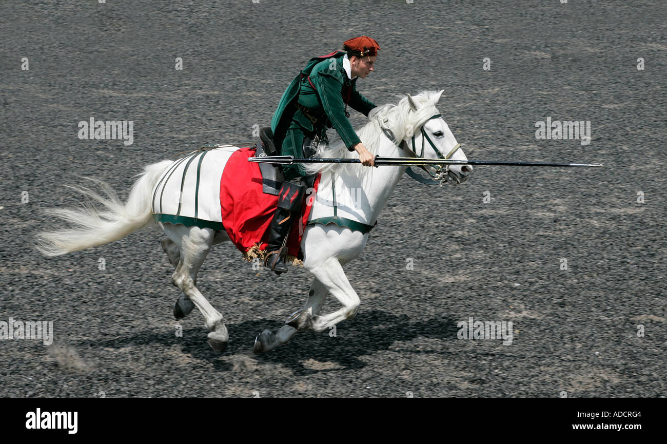 Chevalier médiéval galoper son cheval Cavalier Cavalier Cavalier Cavalier action chevaleresque équestres errantly pike lance chevaleresque Banque D'Images