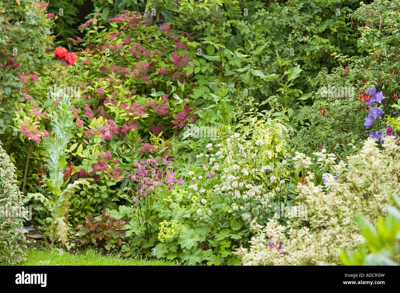 Mixed summer flower border dans un jardin Worcestershire Banque D'Images