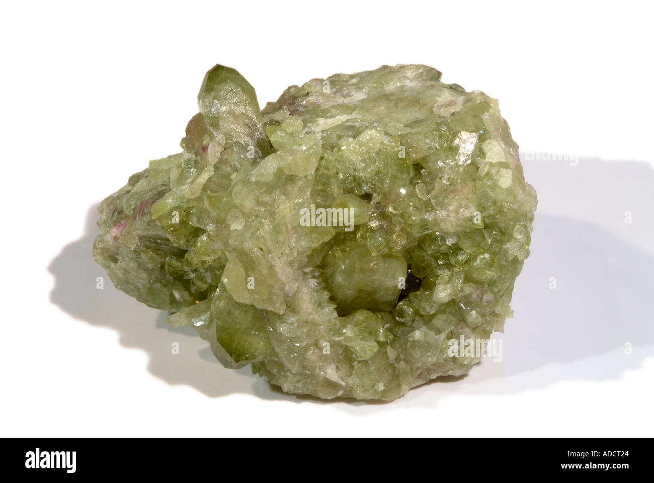La vésuvianite minéral vert pomme, masse cristalline avec prismes de cristal, Jefferey, fosse, Asbestos, Québec, Canada Banque D'Images