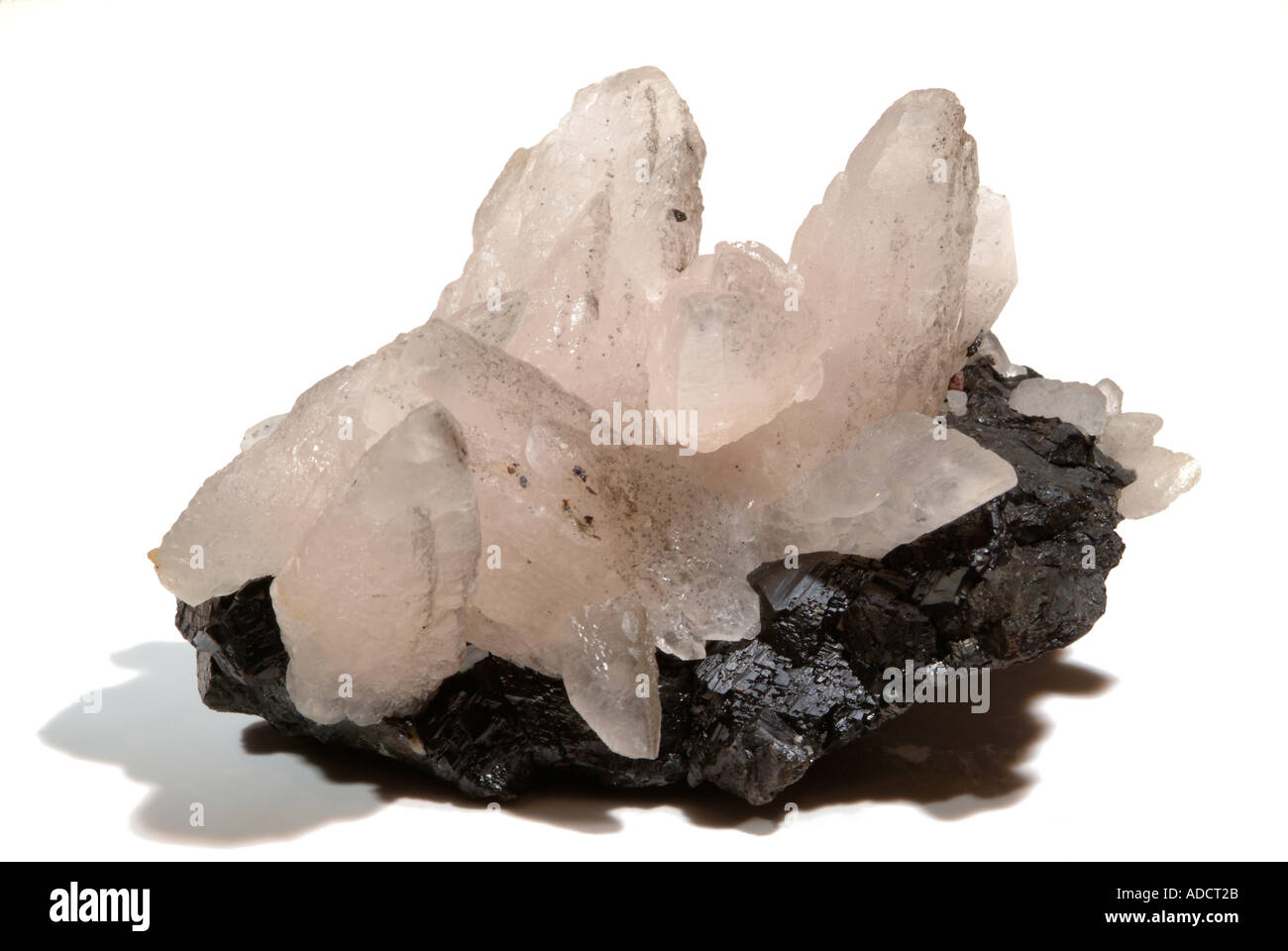 Minéral Calcite, Classic modèle de cristaux de calcite sur la sphalérite, nouveau Glencrieff Wanlockhead, mines, Dumfries et Galloway, Écosse Banque D'Images