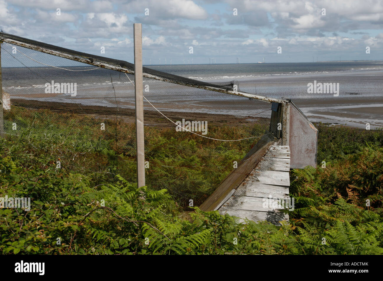 Un piège d'oiseaux vivants sur l'Île Hilbre, Wirral, UK Banque D'Images