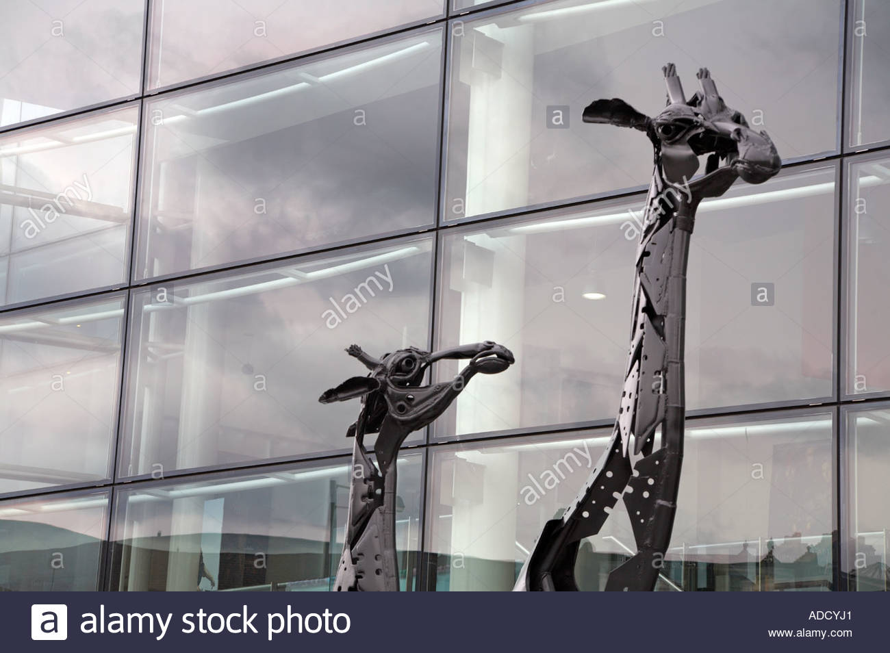 La sculpture moderne de deux girafes, centre-ville d'édimbourg (écosse) Banque D'Images