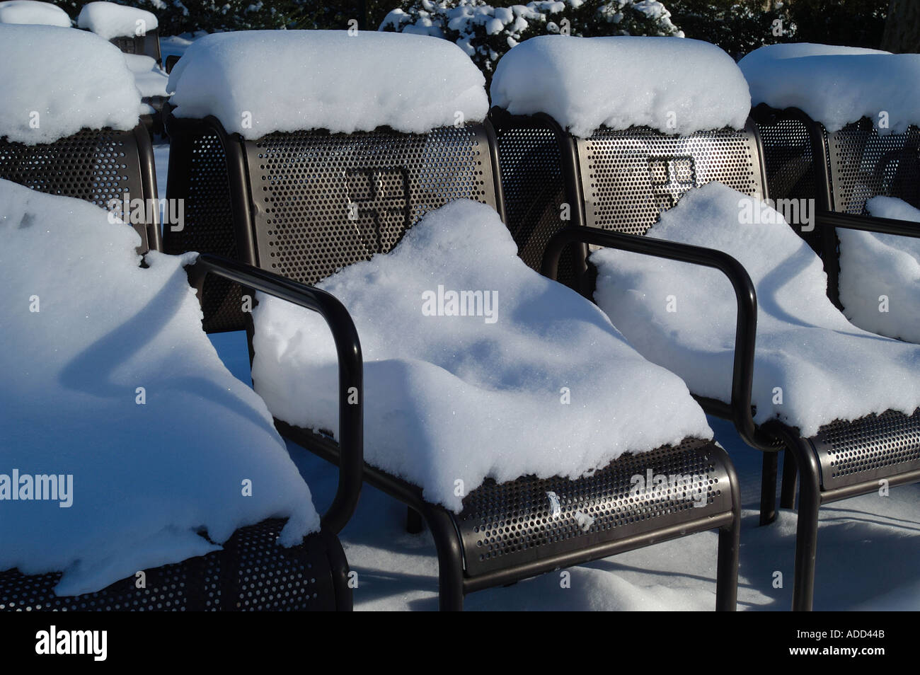 Les chaises du parc en hiver Banque D'Images