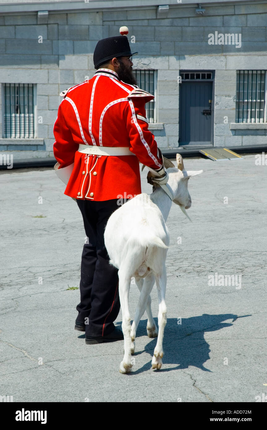 Soldat avec mascotte chèvre Banque D'Images