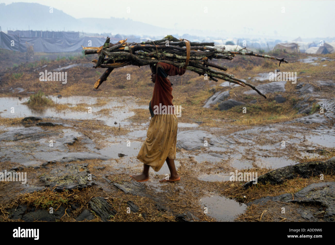 Une femme le retour des réfugiés avec bois de chauffage sous la pluie dans un camp dans la région de Goma. Banque D'Images