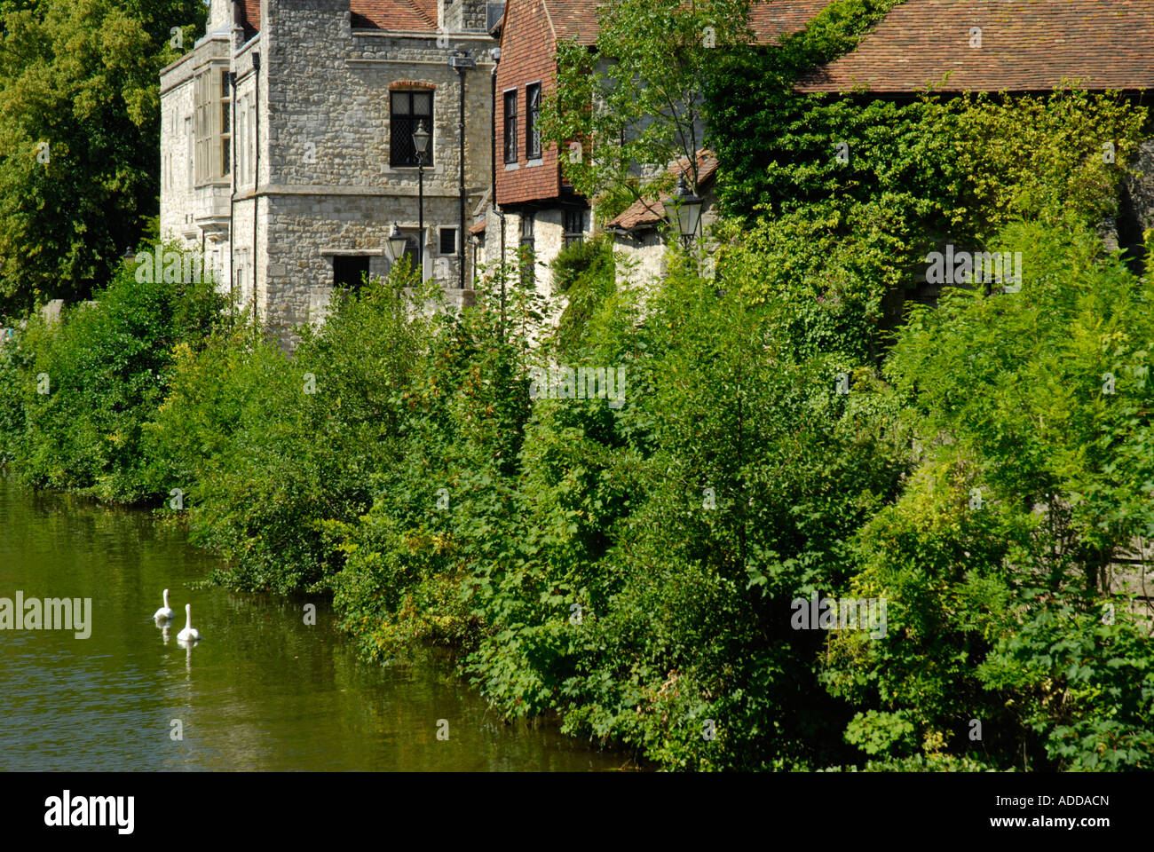 Le Palais de l'archevêque vu à travers la verdure sur les bords de la rivière Medway Maidstone Kent England Banque D'Images