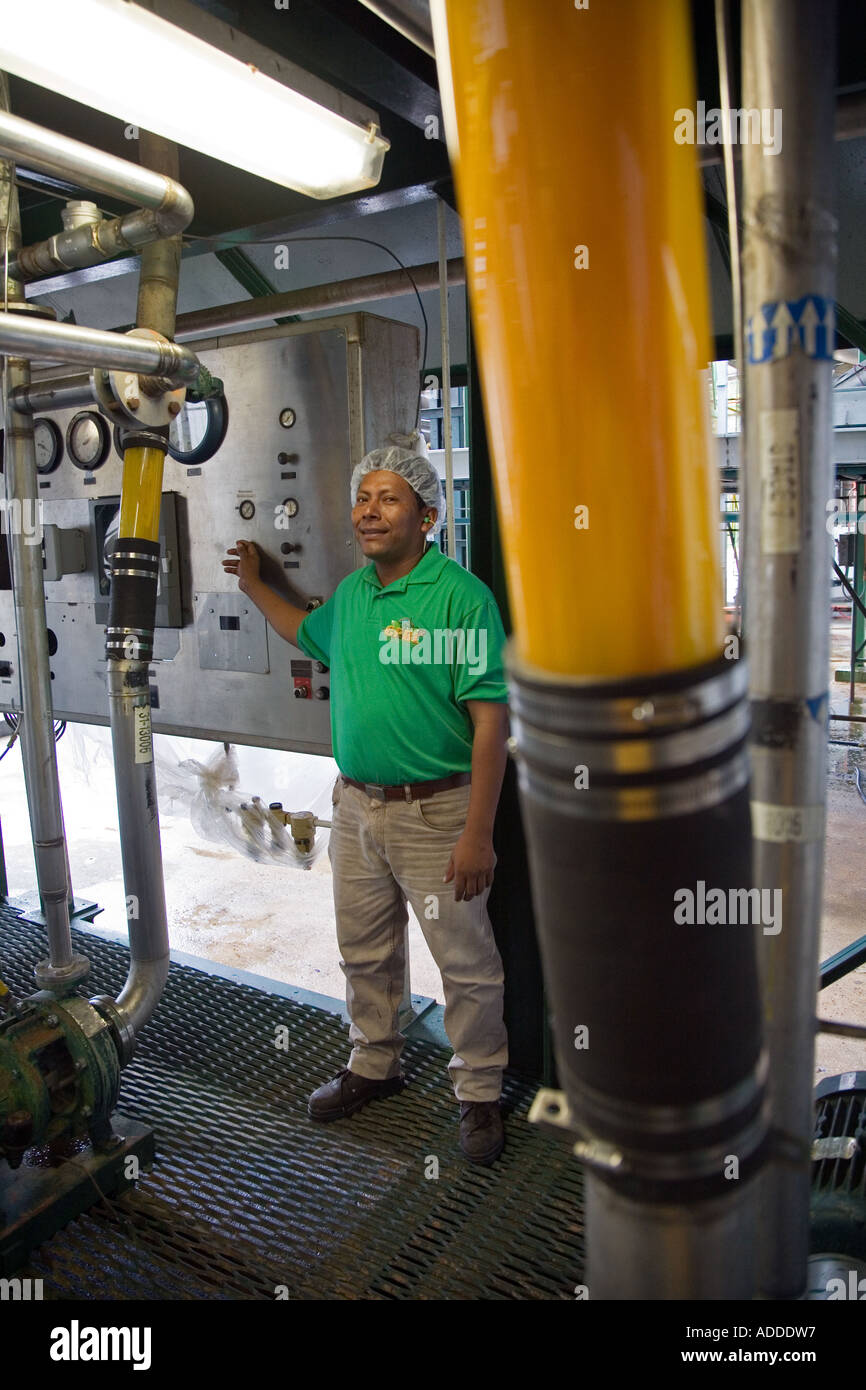 Usine de transformation des agrumes à Belize Banque D'Images