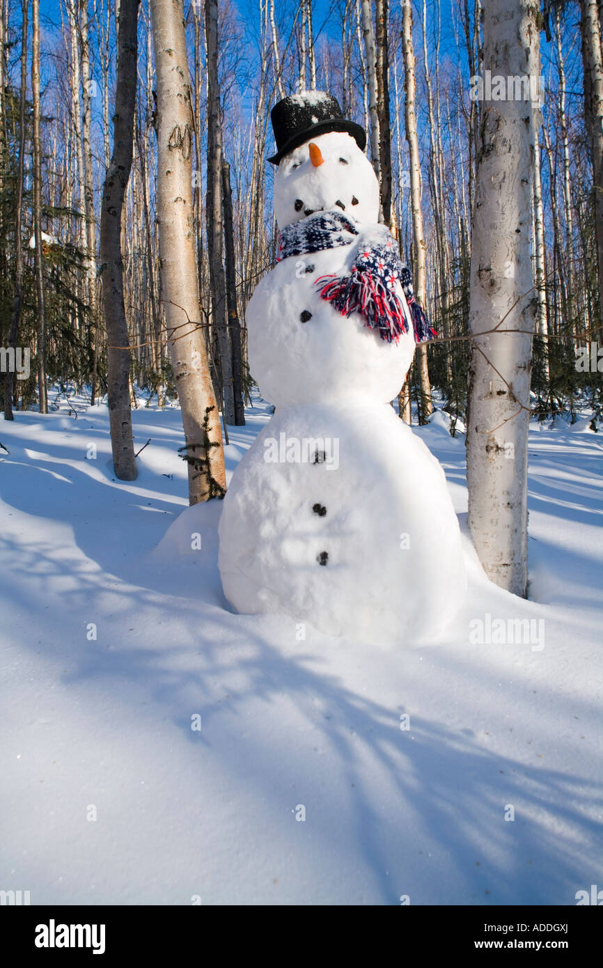 Le Snowman dans top hat écharpe en profonde forêt de bouleaux l'intérieur de l'Alaska, Winter Banque D'Images