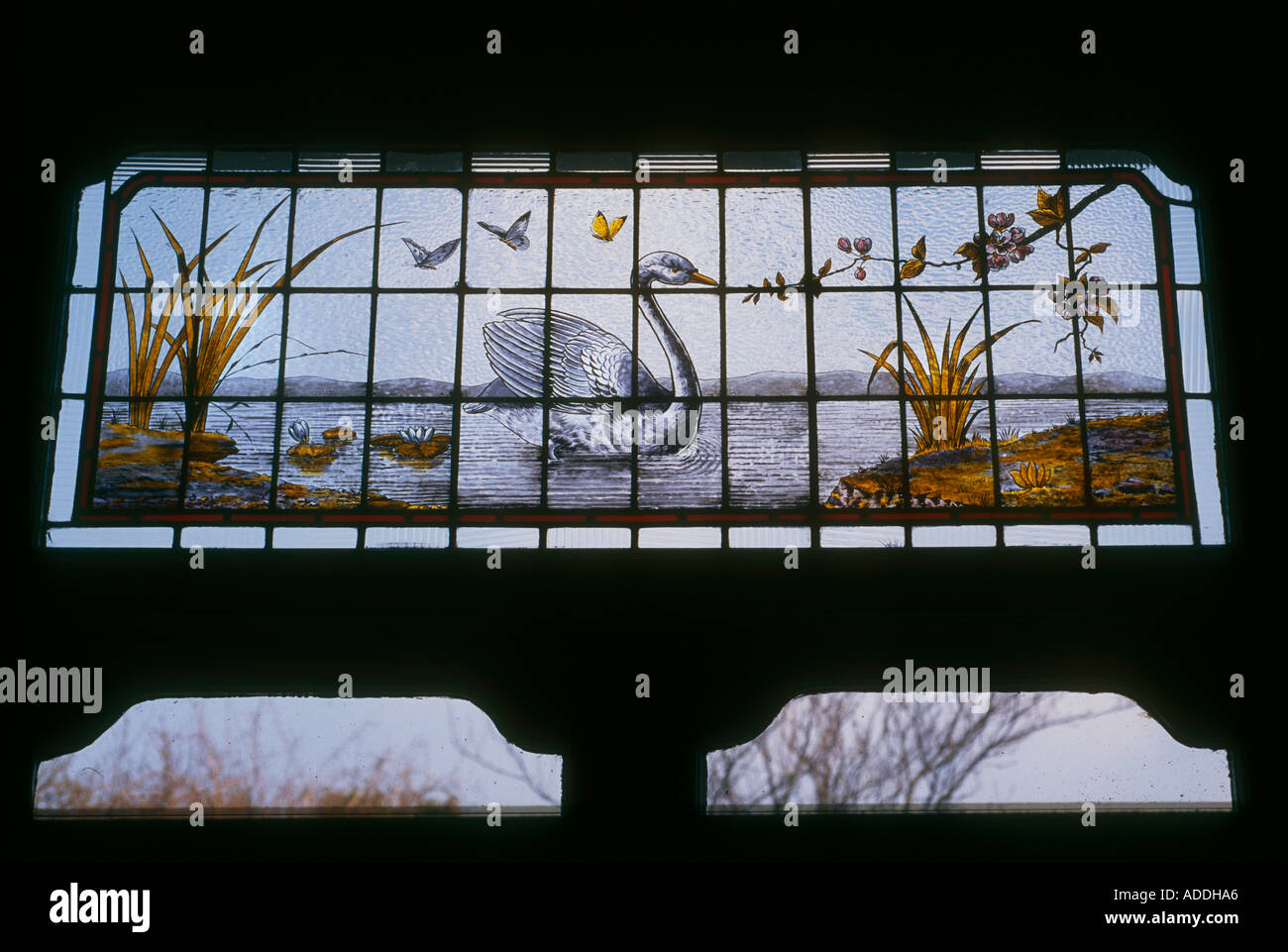 Verre décoratif d'Edwardian de fenêtre de cygne sur un lac avec des papillons dans l'intérieur de la Logement Londres Banque D'Images