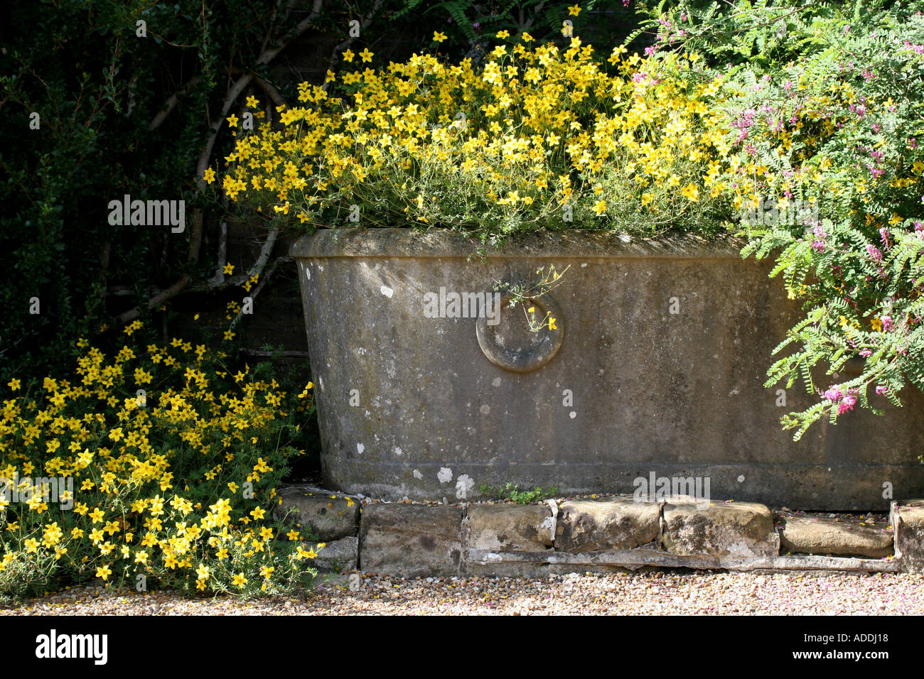 Jardin clos à Wakehurst Place Ardingly Sussex Banque D'Images