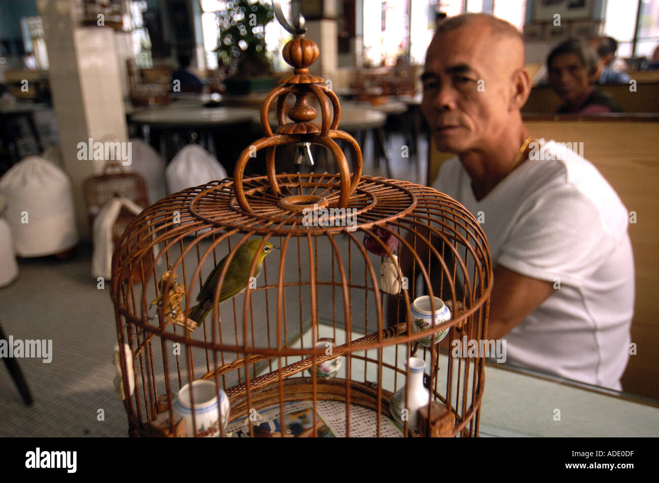 Un homme et son oiseau dans un salon de thé traditionnel de Macao Chine Banque D'Images
