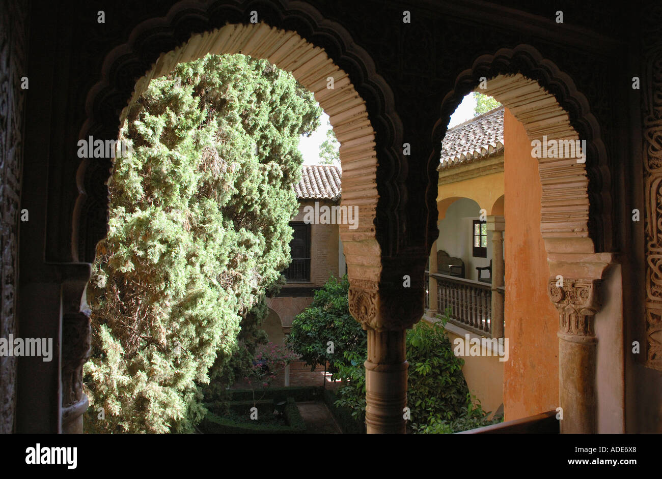 Vue sur l'Alhambra et Grenade andalousie andalousie forteresse Alcazaba España Espagne Iberia Europe Banque D'Images