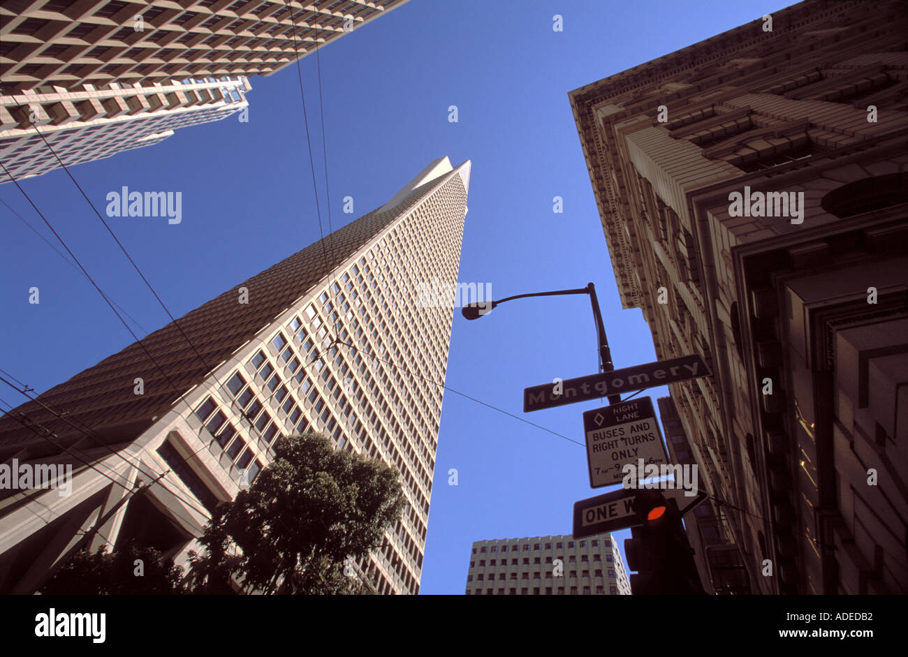 Le gratte-ciel pyramidal de la société Transamerica à San Francisco, Californie, USA Banque D'Images
