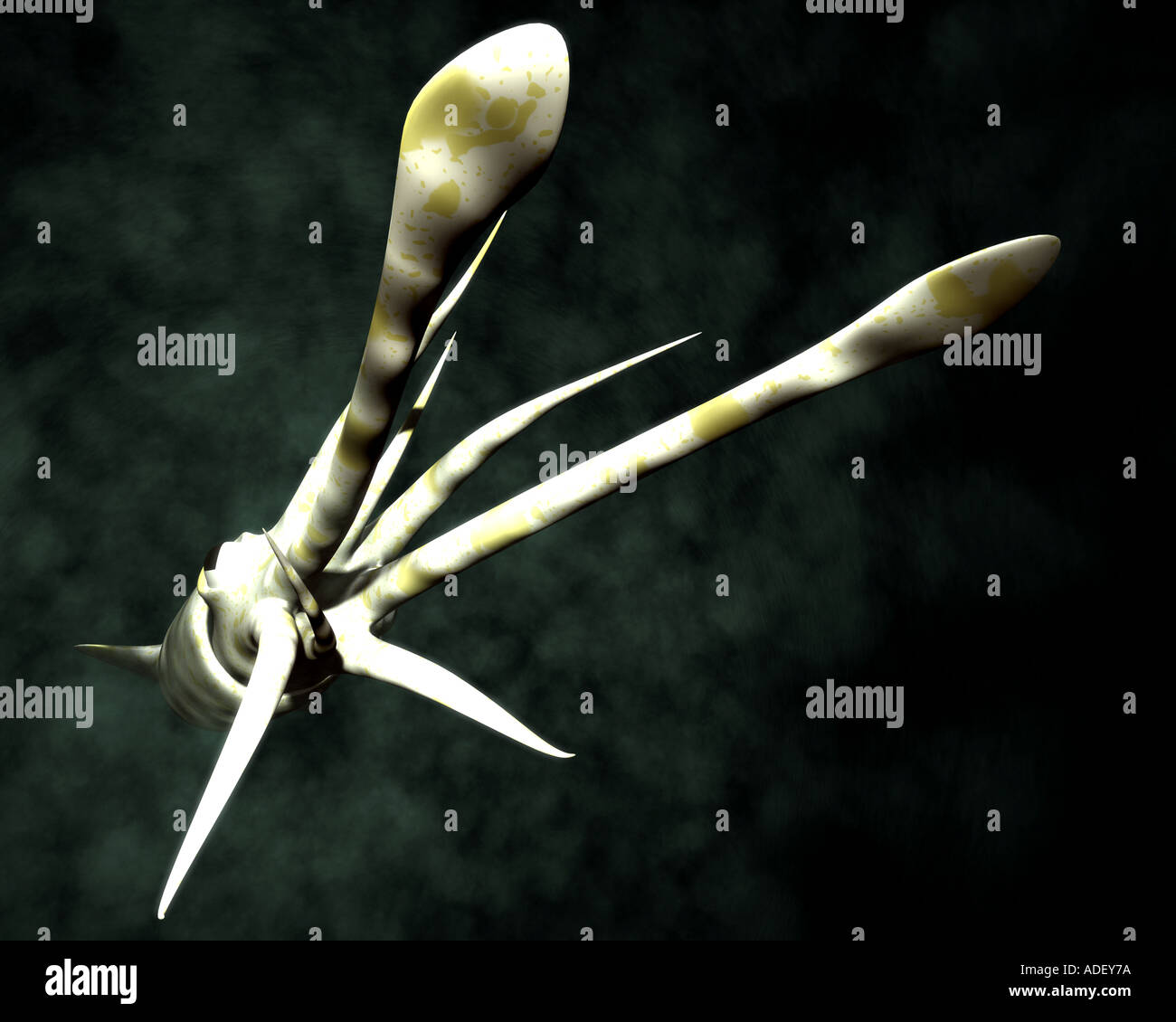 Calmar géant aucun exemple de ce céphalopode n'a jamais été vu ou photographié en vie si c'est un calculateur j Banque D'Images