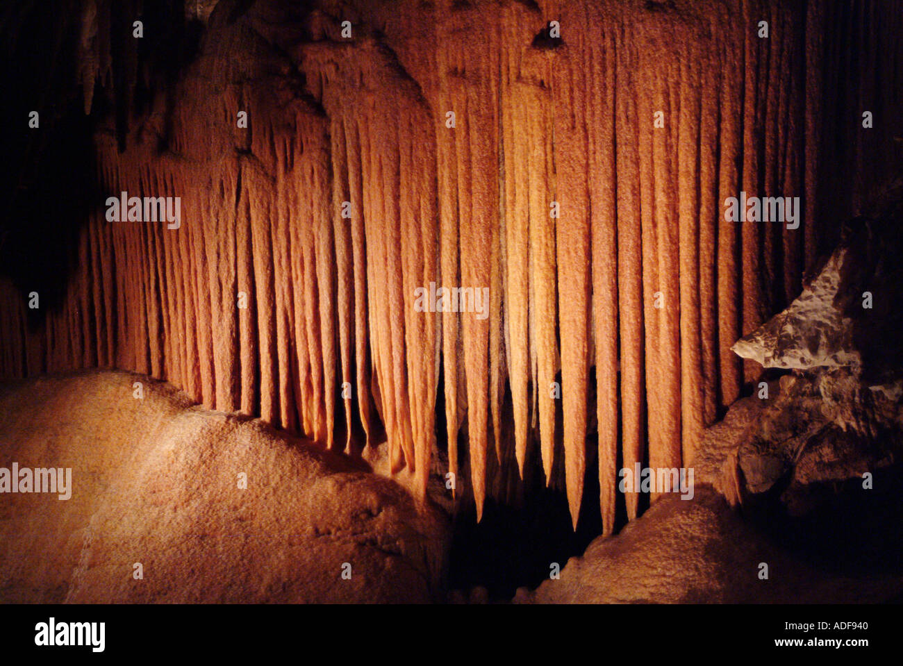 La formation de calcaire dans Jewel Cave Augusta Australie Occidentale Banque D'Images