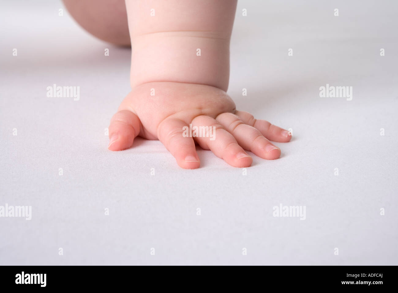 La Main De Bebe Joufflu Photo Stock Alamy