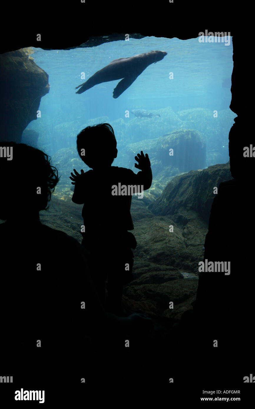 Enfant à l'aquarium Banque D'Images