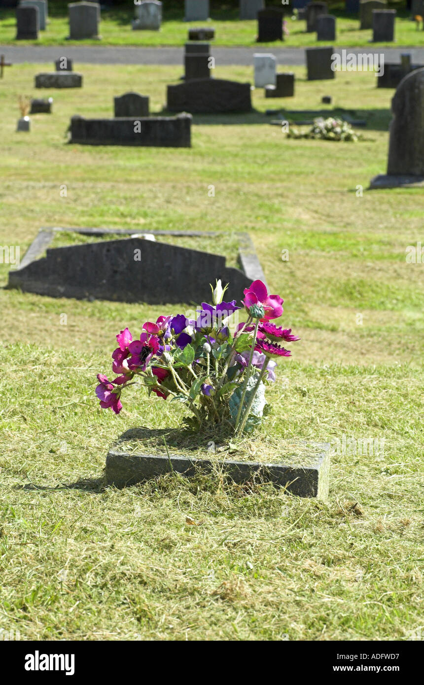 Les fleurs fraîches placées sur une tombe dans un cimetière cimetière Banque D'Images