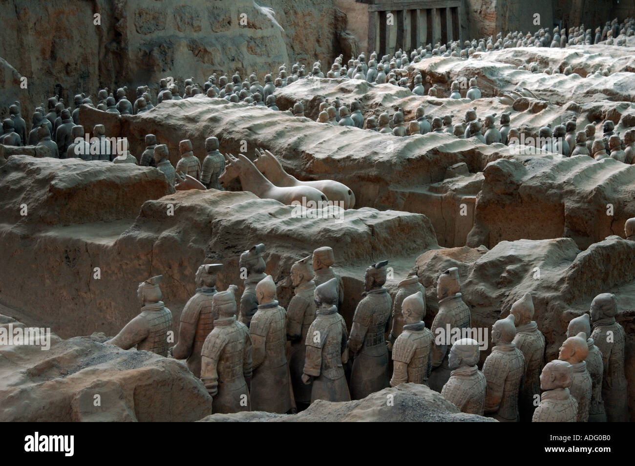 Des rangées de soldats en terre dans la fosse numéro un au musée de Xi'an les chariots en bois derrière les chevaux ont péri depuis b Banque D'Images