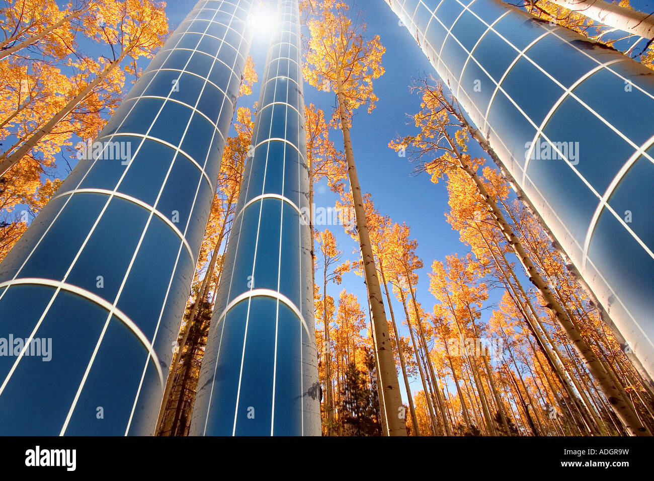 Vivre avec la Nature Banque D'Images