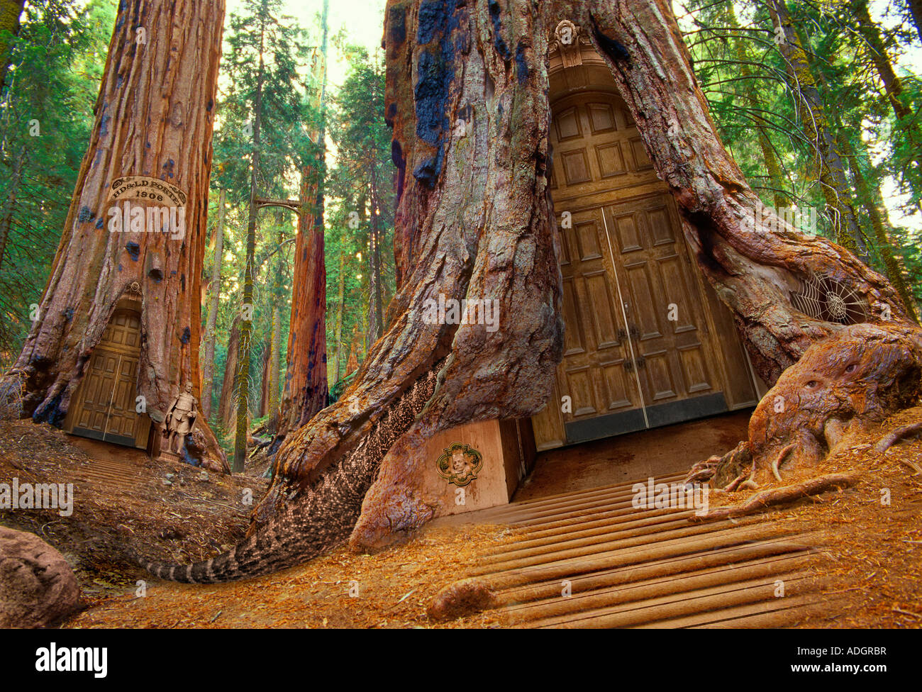 L'aire Morphiques Banque D'Images