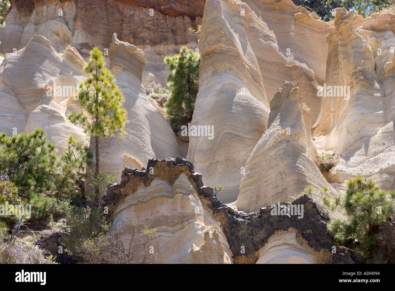 Paisaje paysage lunaire Ténérife les Îles Canaries Espagne Banque D'Images