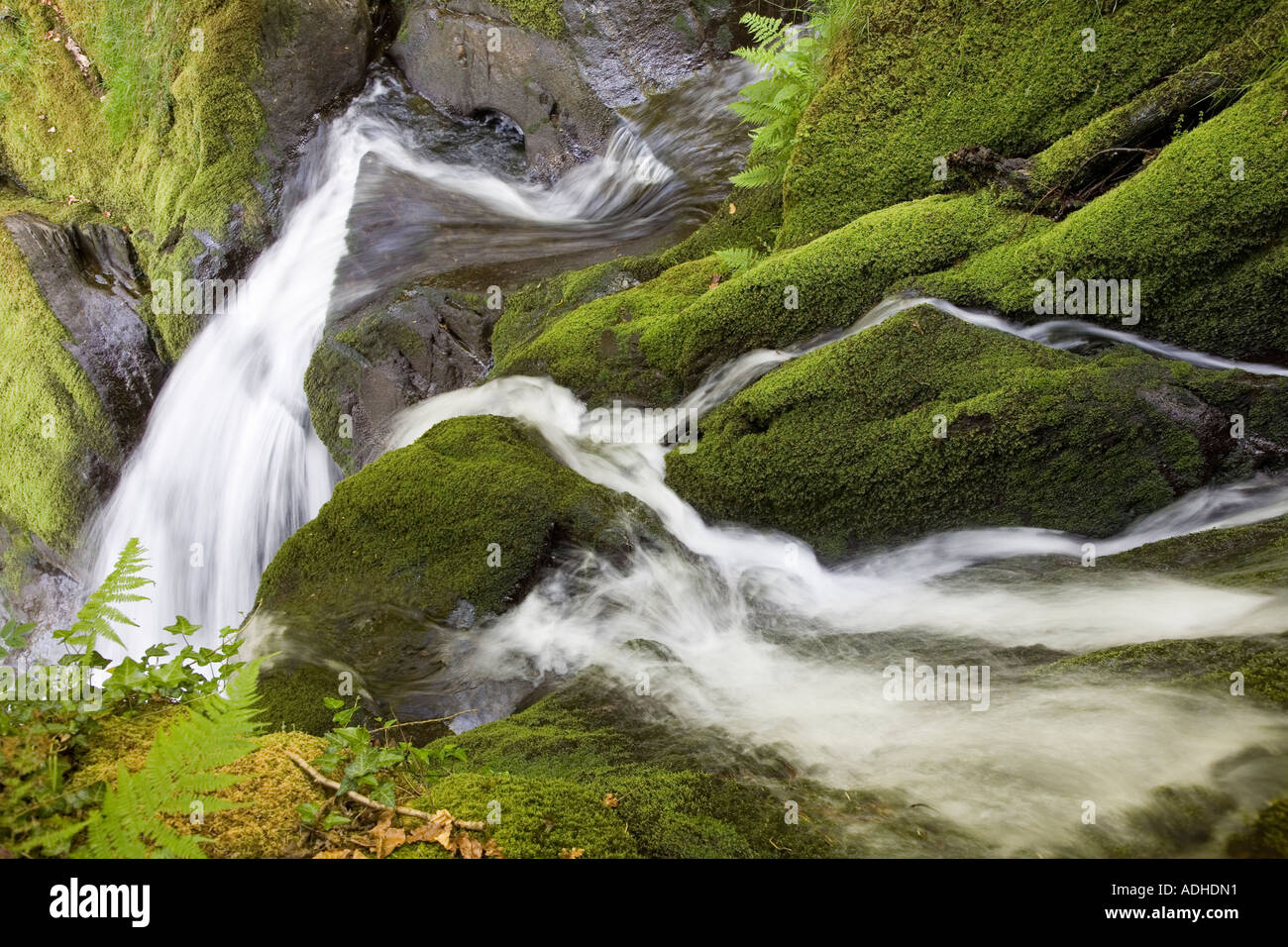 L'eau s'écoule plus de cascades en Vallée d'artistes près de fourneau Machynlleth au Pays de Galles UK Banque D'Images