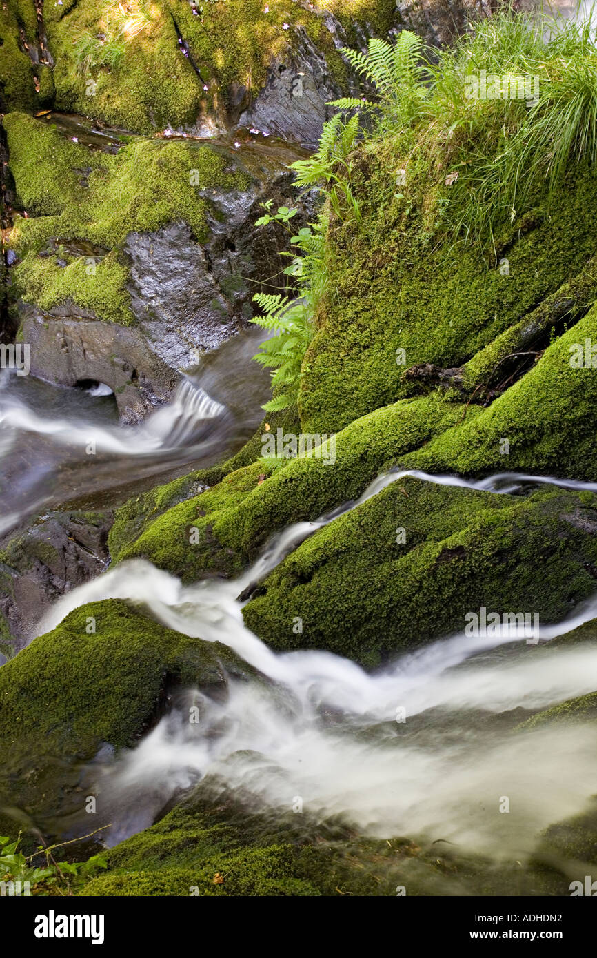 L'eau s'écoule plus de cascades en Vallée d'artistes près de fourneau Machynlleth au Pays de Galles UK Banque D'Images