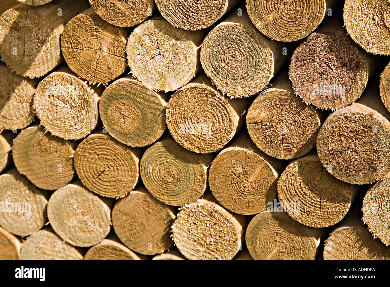 Pile d'tannalised des poteaux en bois rond à un marchand de constructeur Pays de Galles UK Banque D'Images