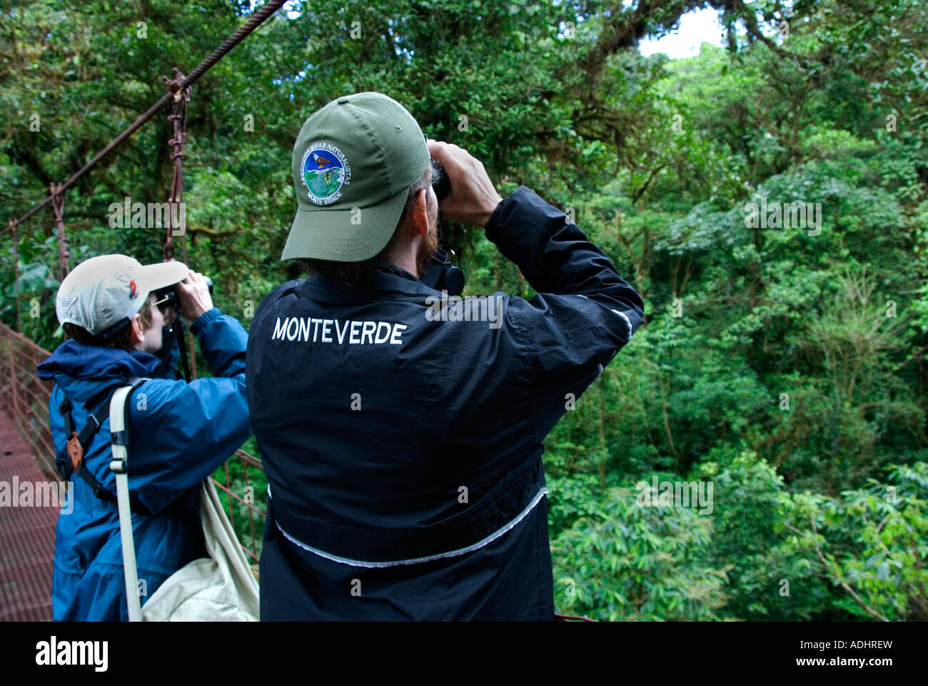 L'observation des oiseaux de Monteverde Cloud Forest Preserve. Province de Puntarenas, Costa Rica. L'Amérique centrale Banque D'Images