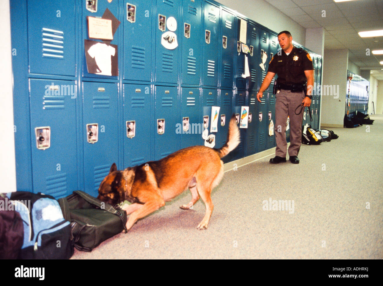 Le sergent avec K-9 Contrôle des sacs et des casiers dans US high school.  New York, USA. Saline Comté Bureau du shérif Photo Stock - Alamy