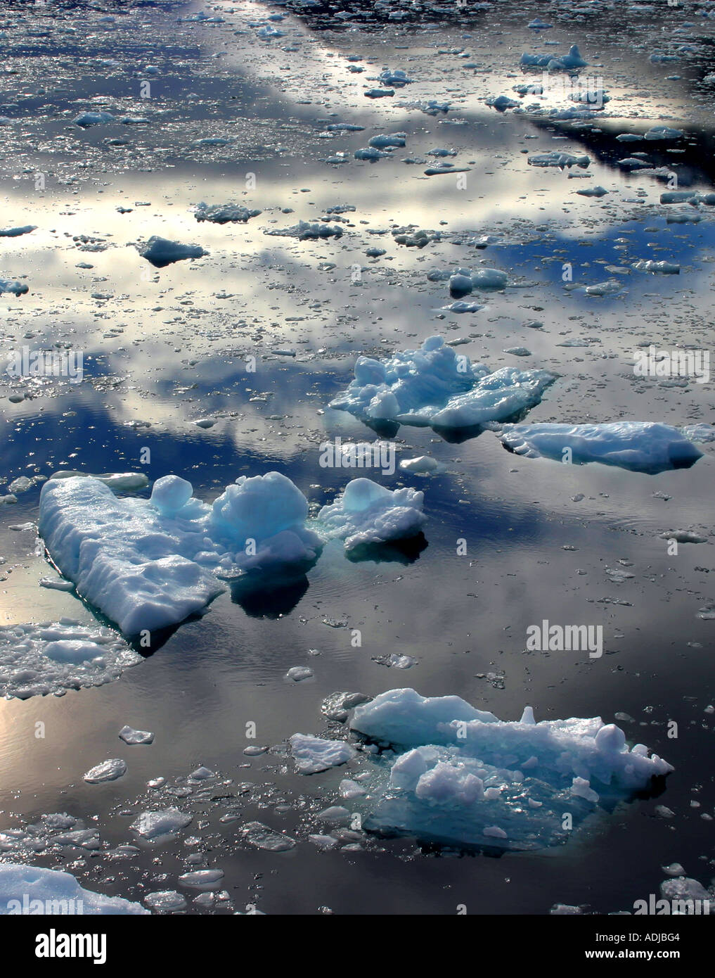 La glace flottant sur les fjords du Chili Patagonie Banque D'Images