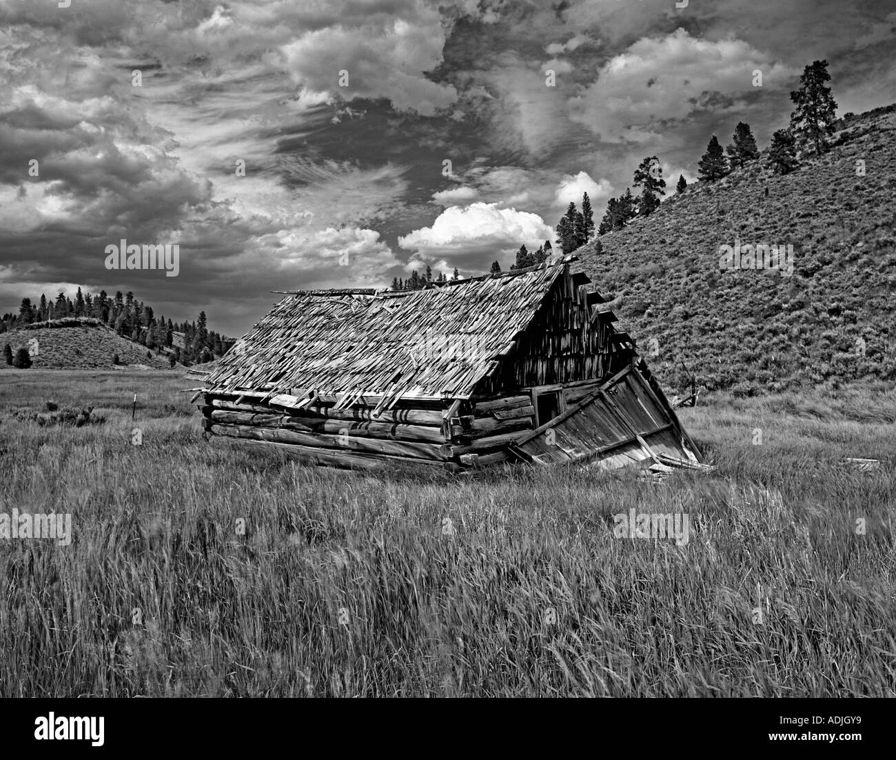 F00100M pioneer cabin en tiff abandonnée près de pâturage Burns Oregon Banque D'Images