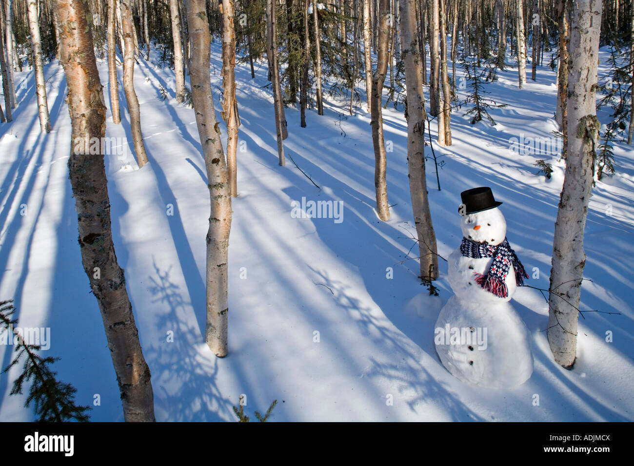 Le Snowman dans top hat écharpe en profonde forêt de bouleaux l'intérieur de l'Alaska, Winter Banque D'Images Le Snowman dans top hat écharpe en profonde forêt de bouleaux l'intérieur de l'Alaska, Winter Banque D'Images