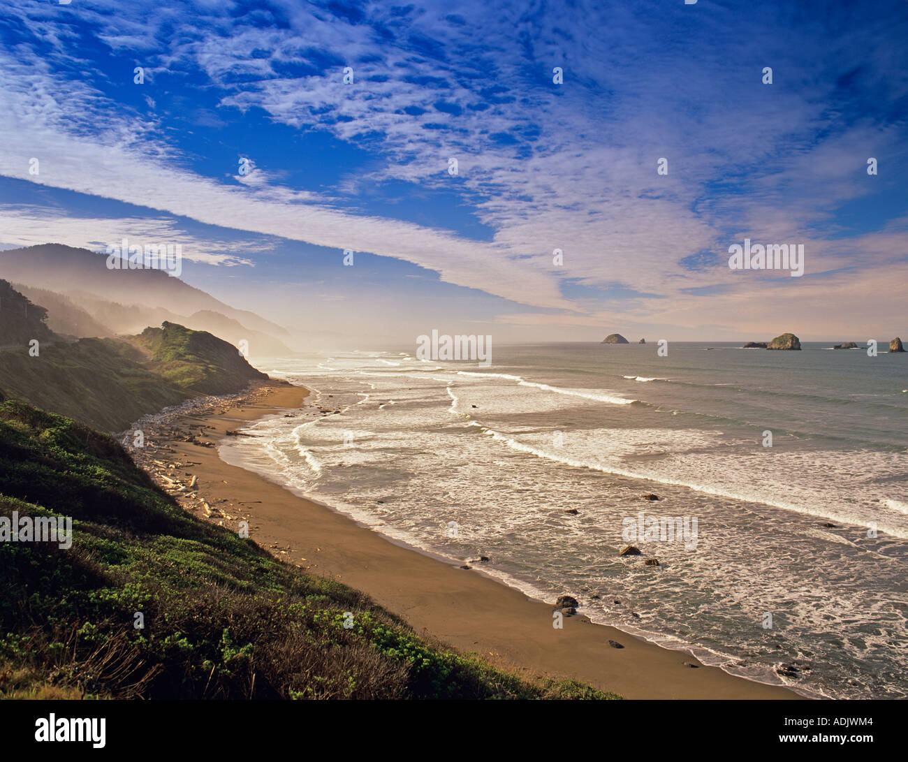 Les vagues de la côte de l'Oregon State Park à Humbug Banque D'Images