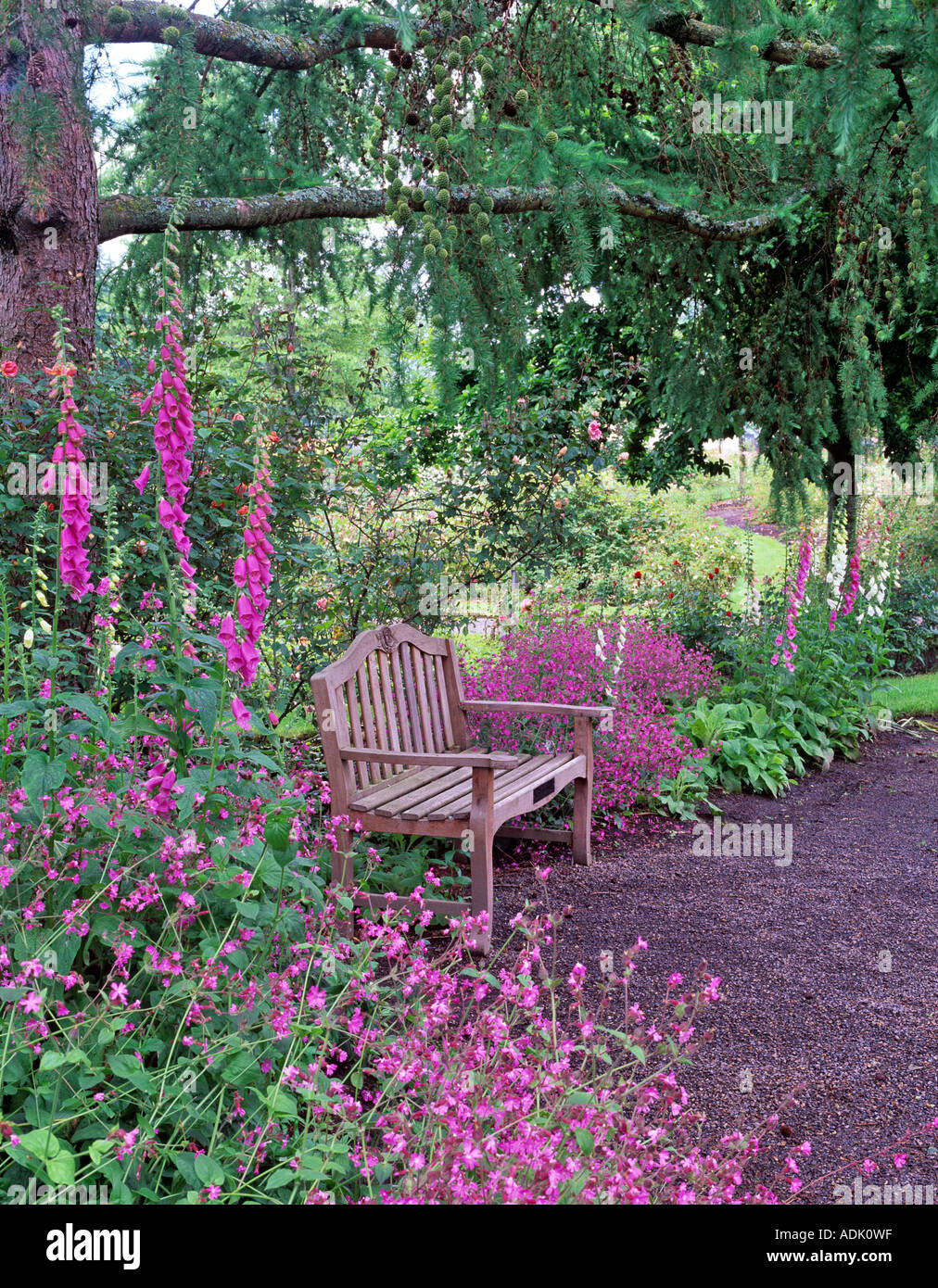 Banc de jardin Jardin Owen G Eugene Oregon Banque D'Images