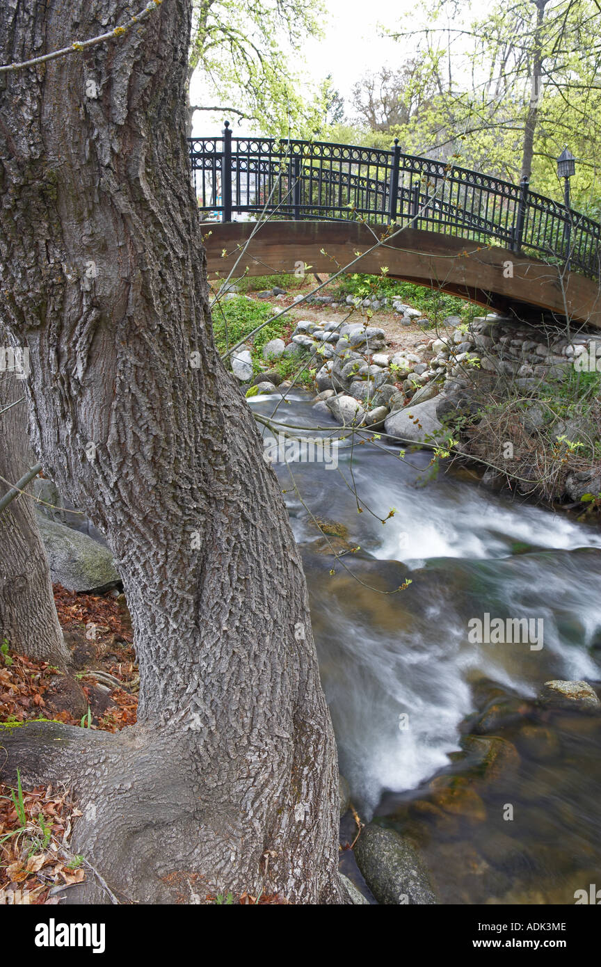Pont sur creek à Lithia Park Ashland Oregon Banque D'Images